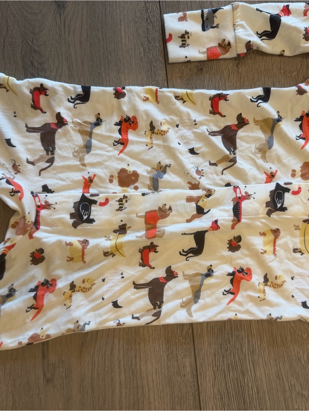 NWOT - Magnetic Me Halloween Dog Footed Onesie - Picture 4 of 5